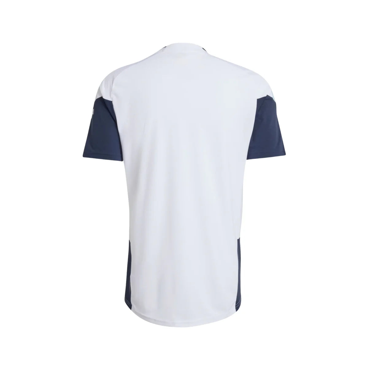 Jersey Selection Argentina I 26/27 - Training