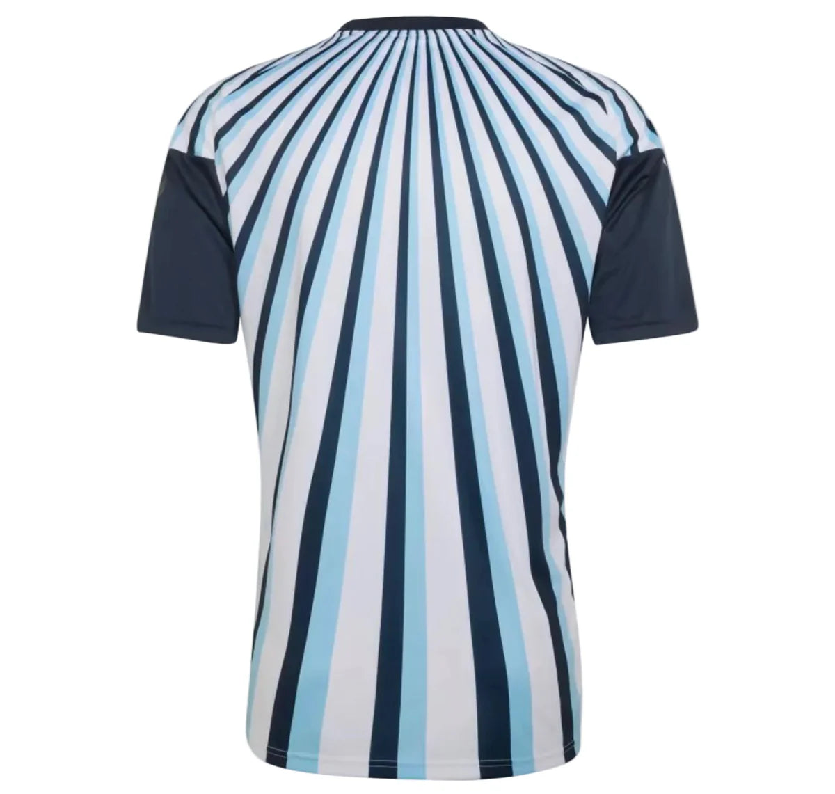 Jersey Selection Argentina 26/27 - Special Edition