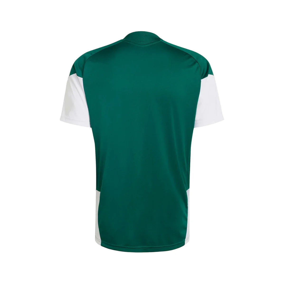 Jersey Selection Italy 26/27 - Training