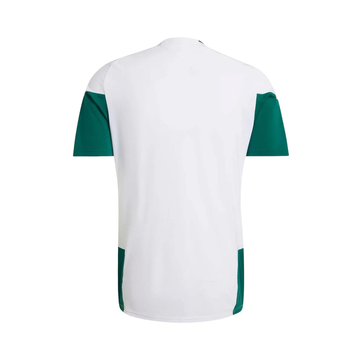 Jersey Selection Italy 26/27 - Training