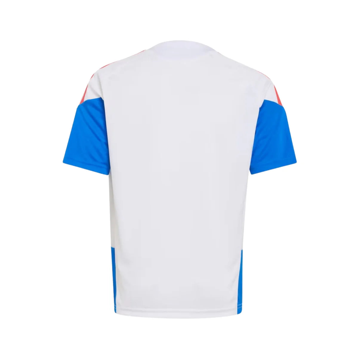 Jersey Selection Colombia I 26/27 - Training