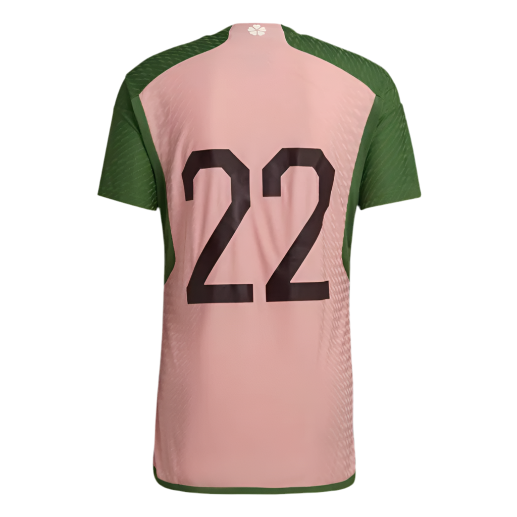 Jersey Selection Japan x Nigo 2023