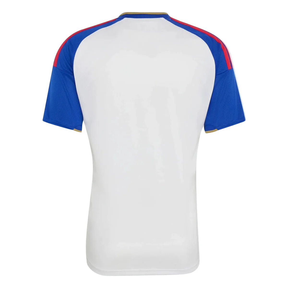 Jersey Lyon I 26/27